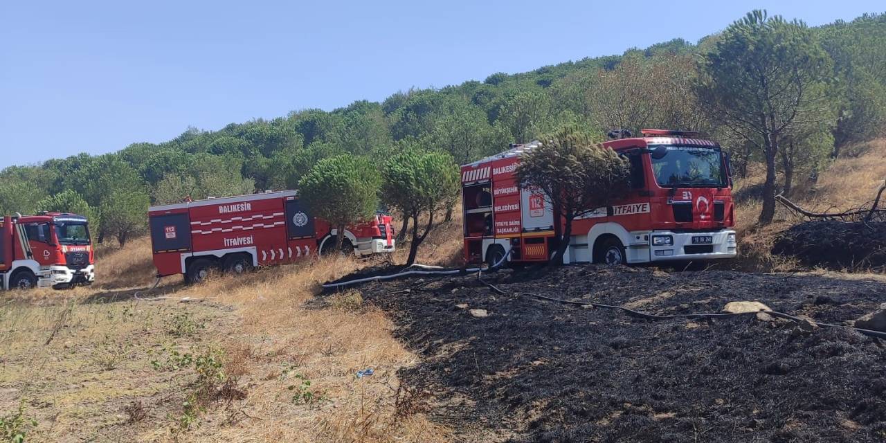 Susurluk’ta Orman Yangını Kontrol Altına Alındı