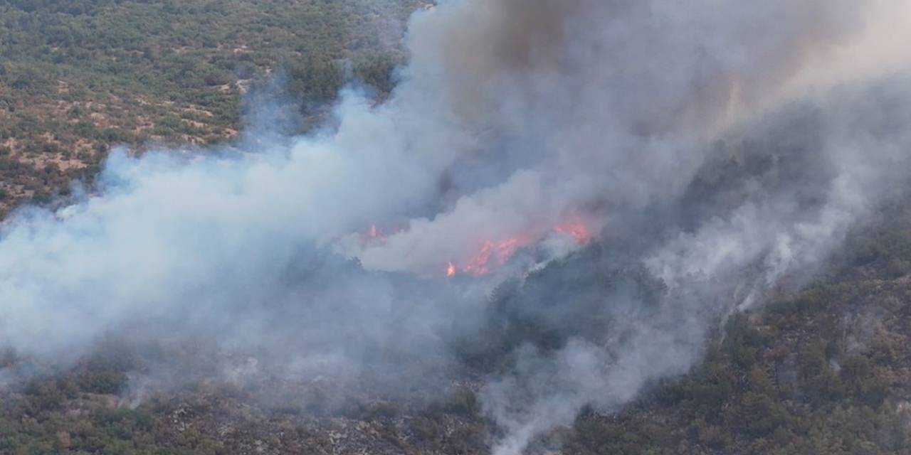 Karabük’teki Yangınla İlgili 5 Kişi Gözaltına Alındı