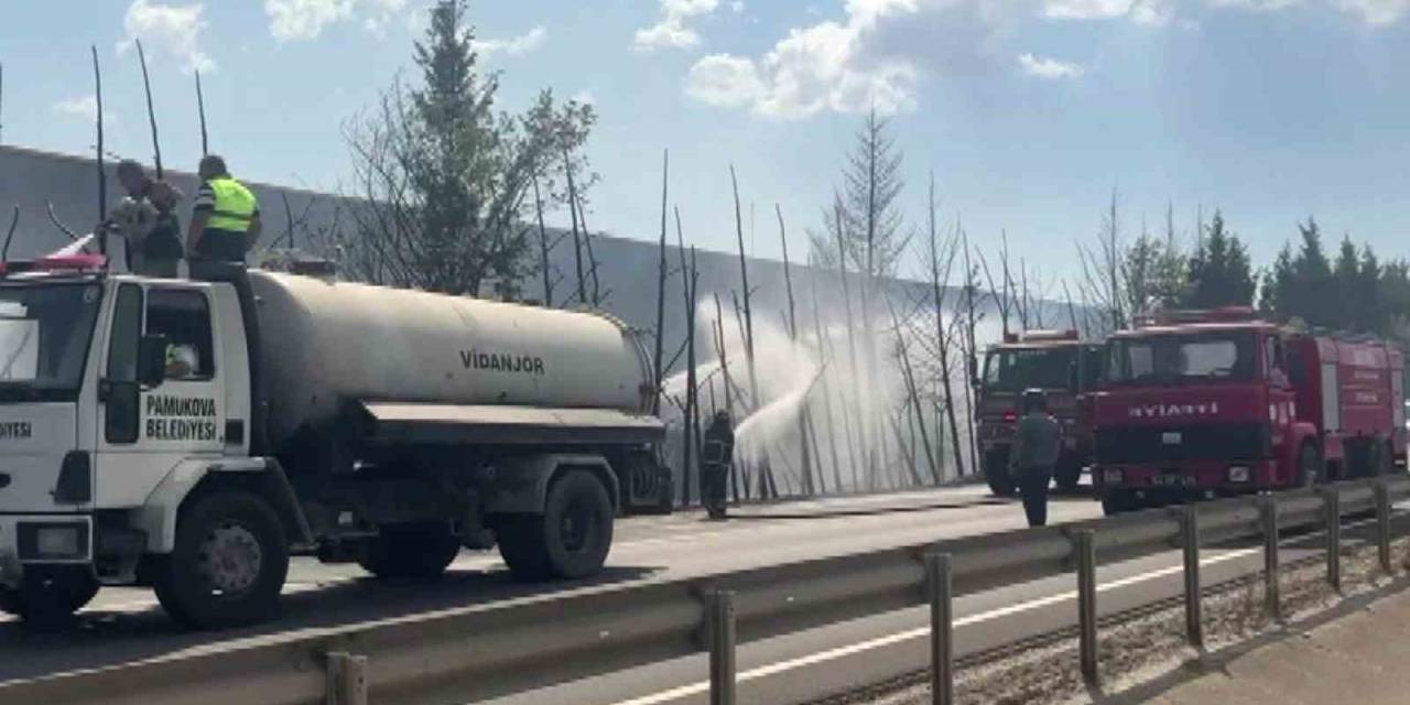 D-650’de Korkutan Yangın: Ağaçlar Alev Topuna Döndü, Trafik Durduruldu