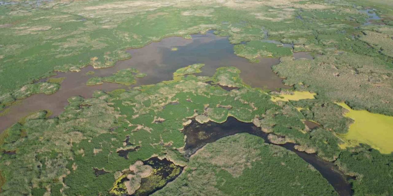 Eber Gölü’ne Giriş Çıkışlar Yasaklandı