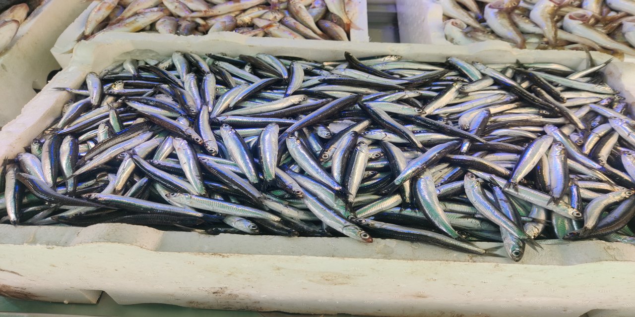 Hamsi Rize'de tezgaha düştü