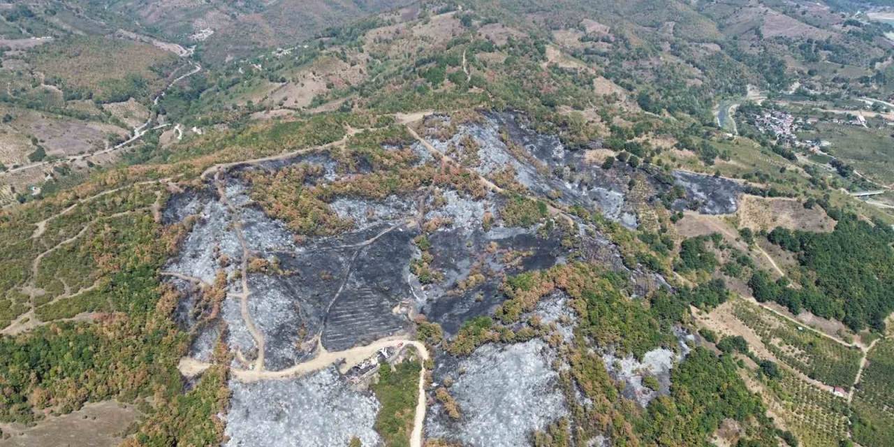 Düzce’deki Yangının Boyutu Havadan Görüntülendi