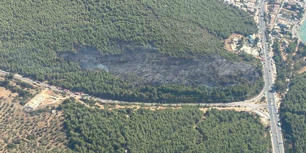 Bodrum Orman Yangını Kontrol Altına Alındı