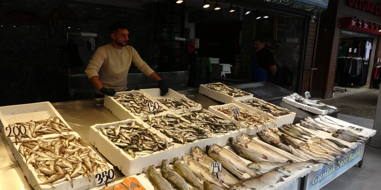 Balıkçı palamuttan umudunu kesti, hamsi ve istavrit ile teselli buluyor