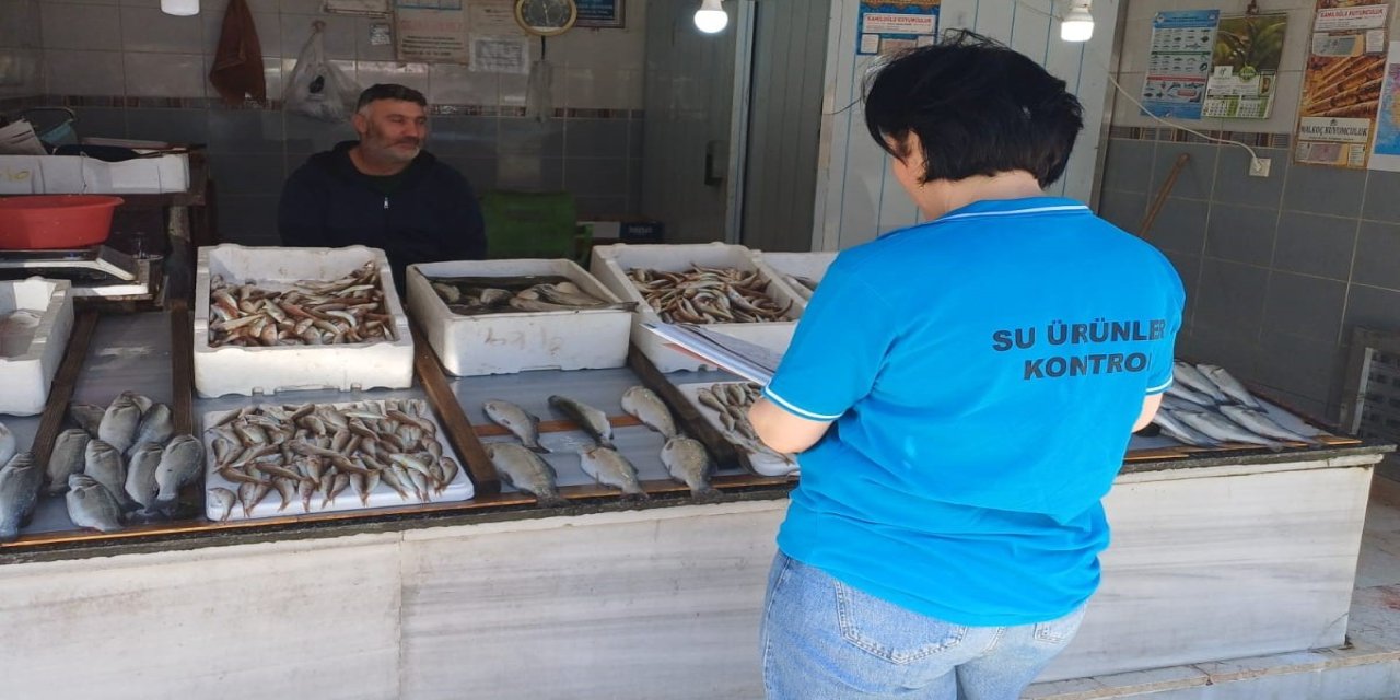 Balık av sezonunun başlaması ile birlikte su ürünleri denetimleri sıklaştırıldı
