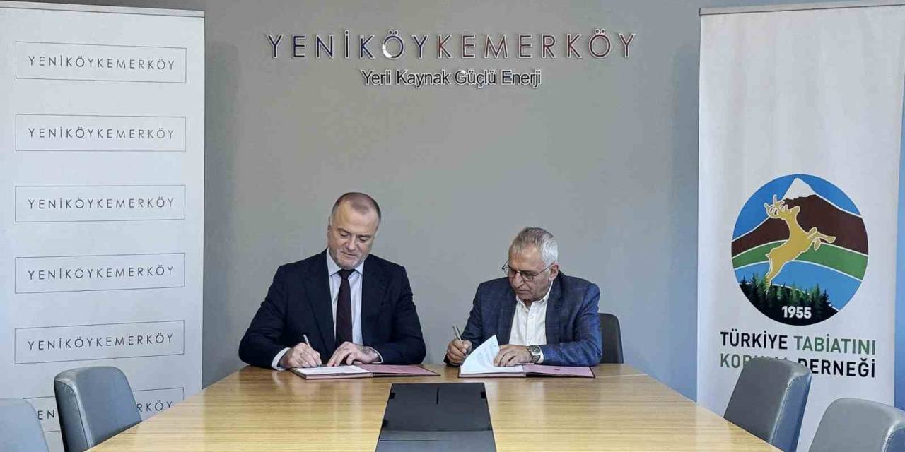 Taşınan Zeytin Ağaçlarını Ttkd İzleyecek