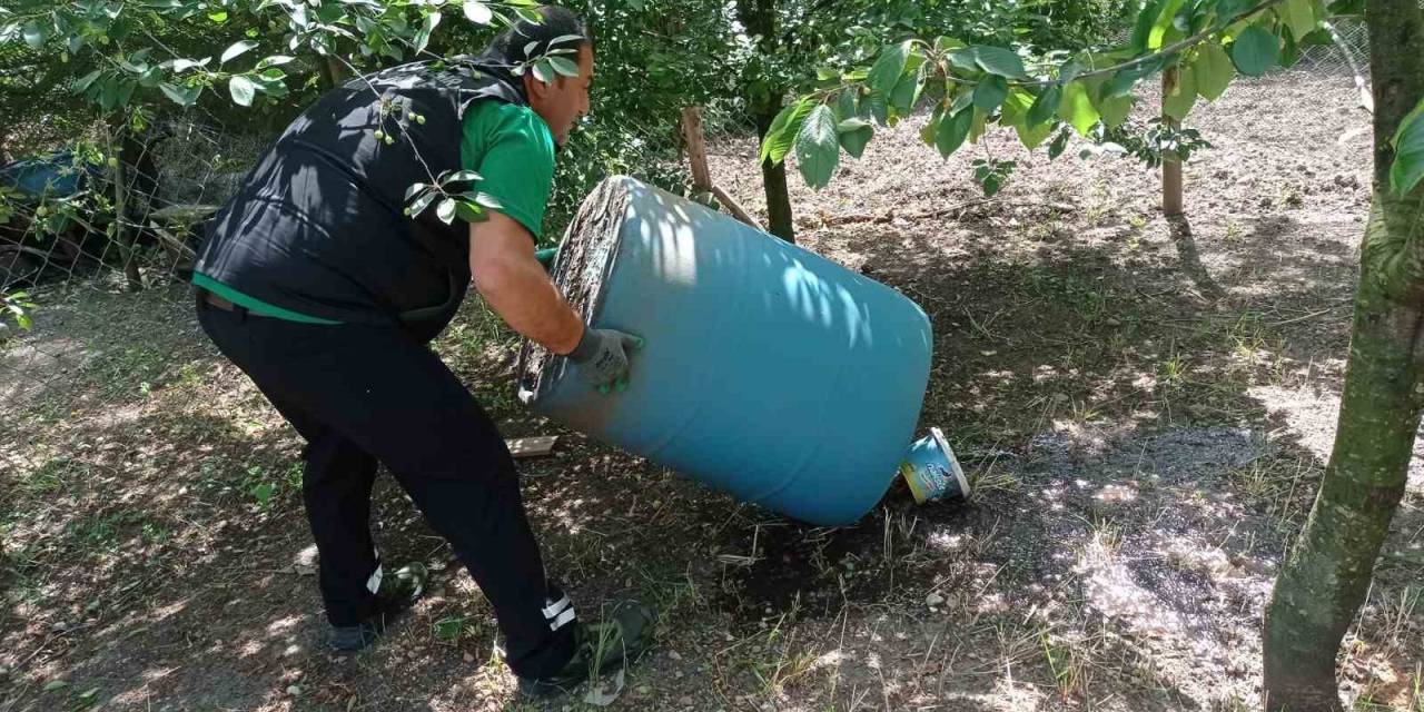 Kocaeli’de Dört Mevsim Sivrisineğe Geçit Yok