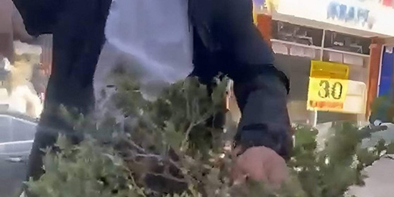 Van’da Refüjdeki Çiçek Ve Fidanlara Zarar Veren Şahıs Suçüstü Yakalandı