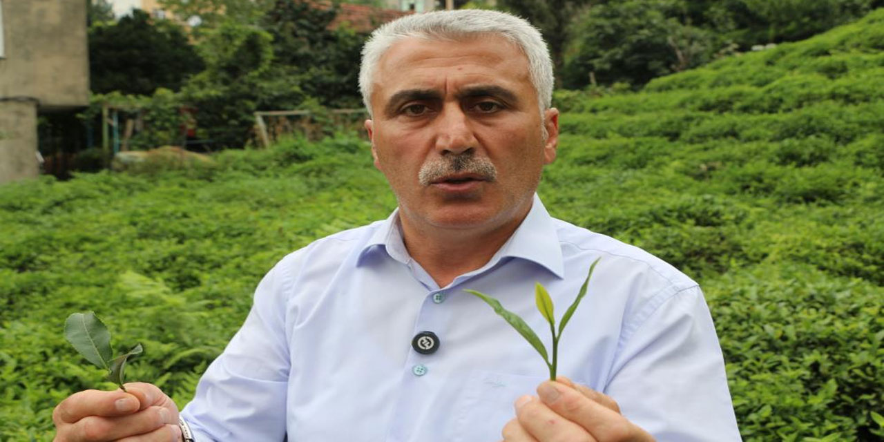 12 Eylül Darbesinin Çay Üreticilerine Etkisi ve Yasakların Ardından Gelen Değişim