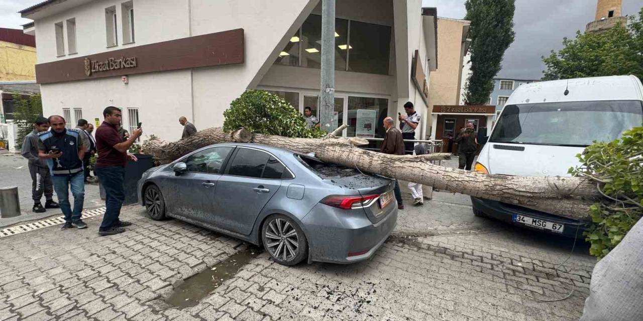 Diyadin’de Ağaç Devrildi Araç Hasar Gördü