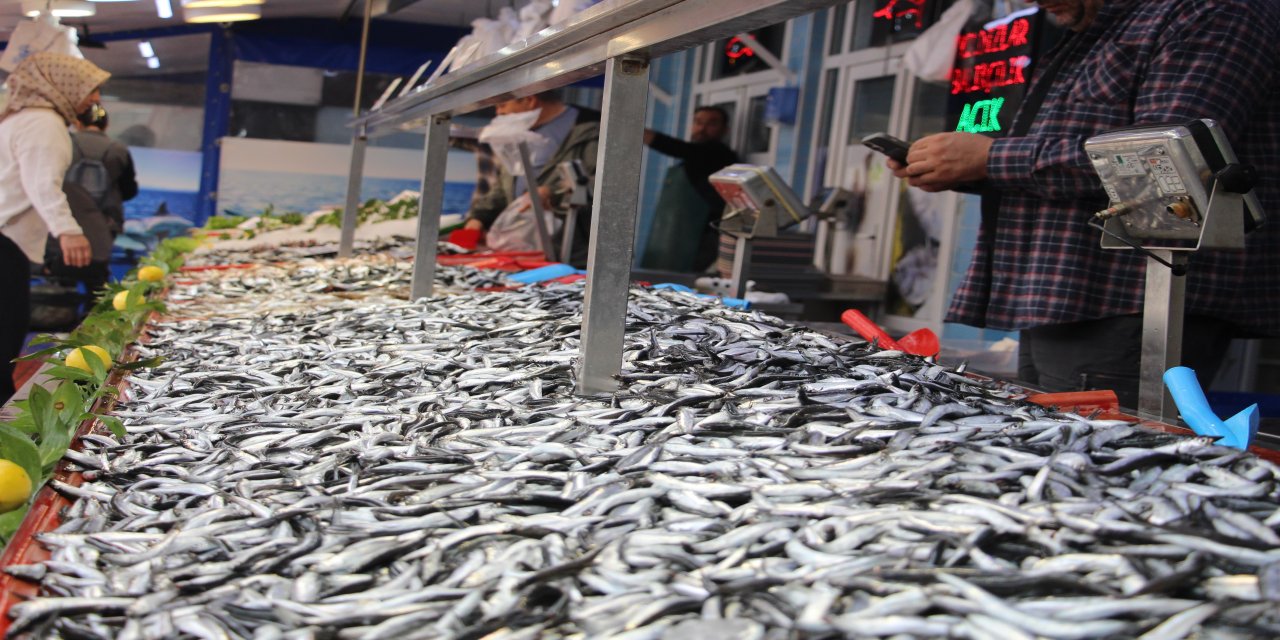 Bolu'da hamsi kilosu 200 liradan tezgahlarda yerini aldı
