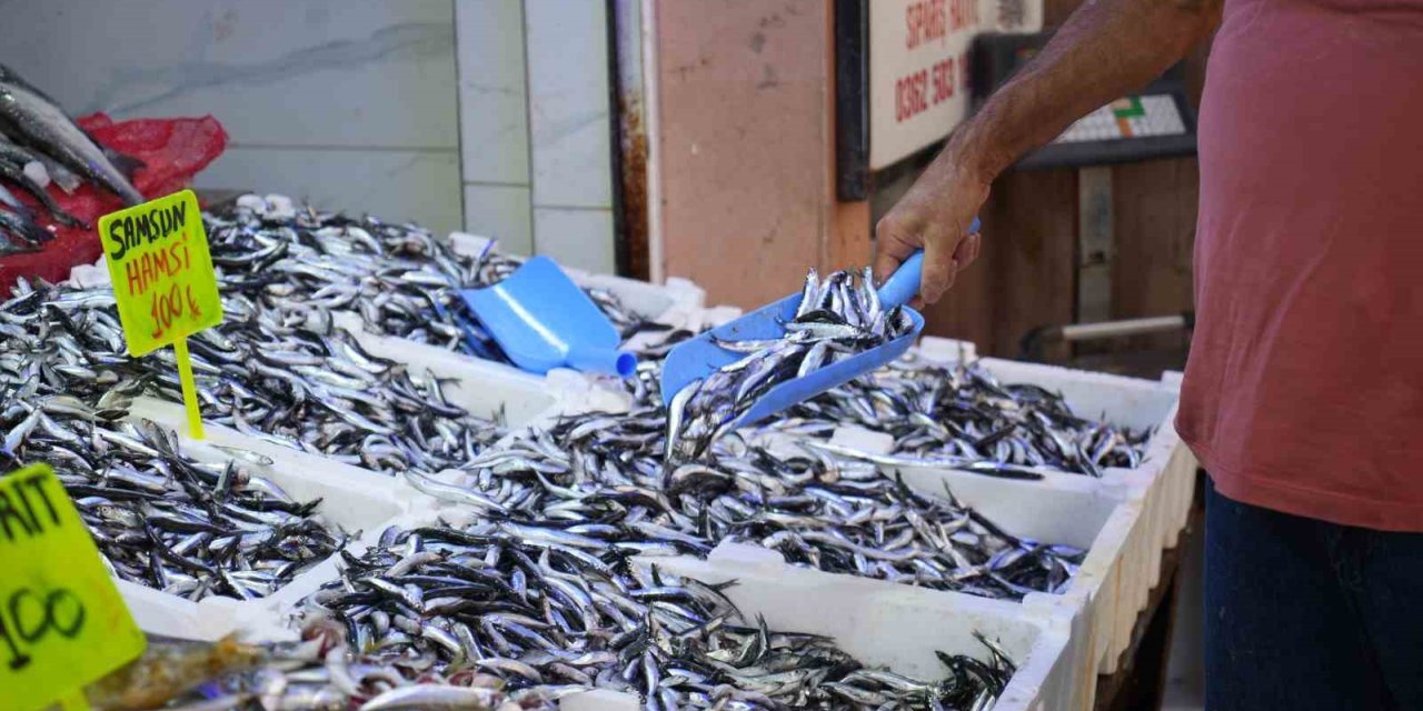Karadeniz'in incisi hamsi tezgahlarda: Ne alırsan 100 TL