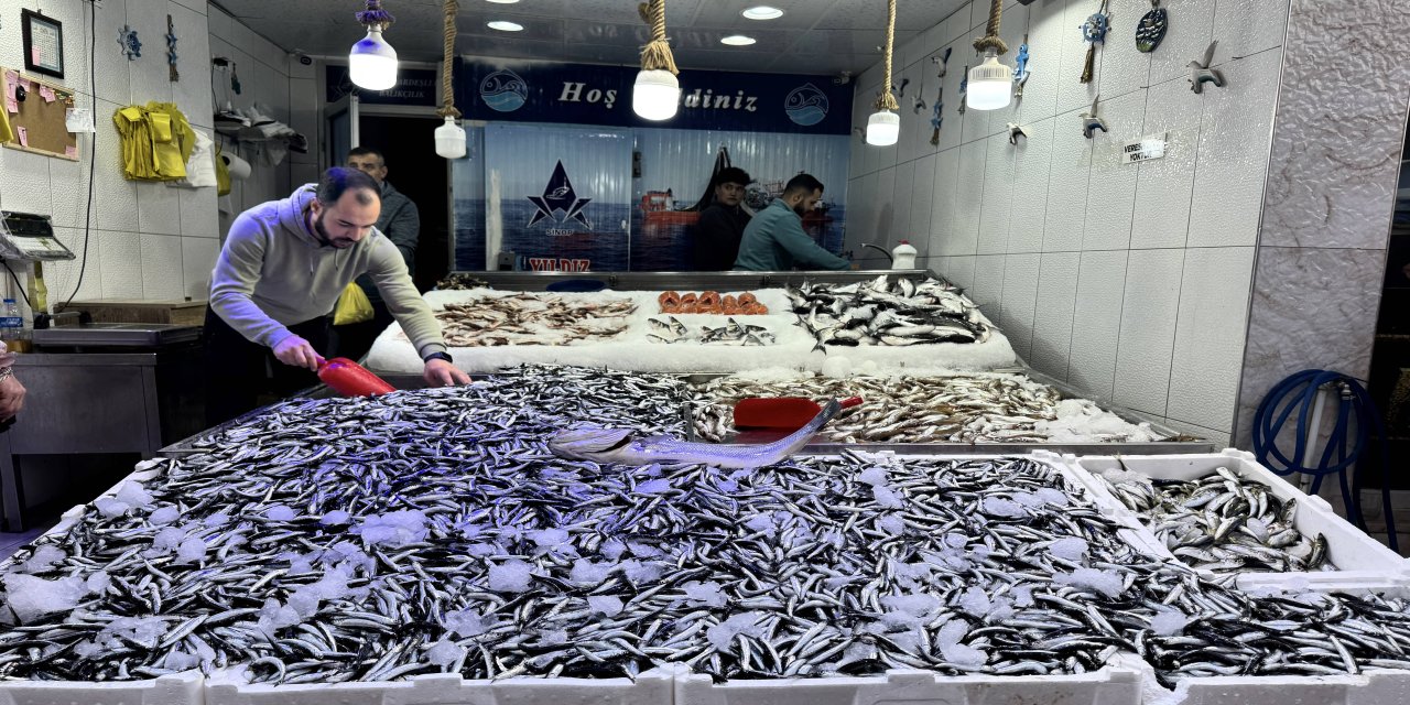 Hamsi avcılığı hem balıkçıyı hem tüketiciyi memnun etmeyi sürdürüyor