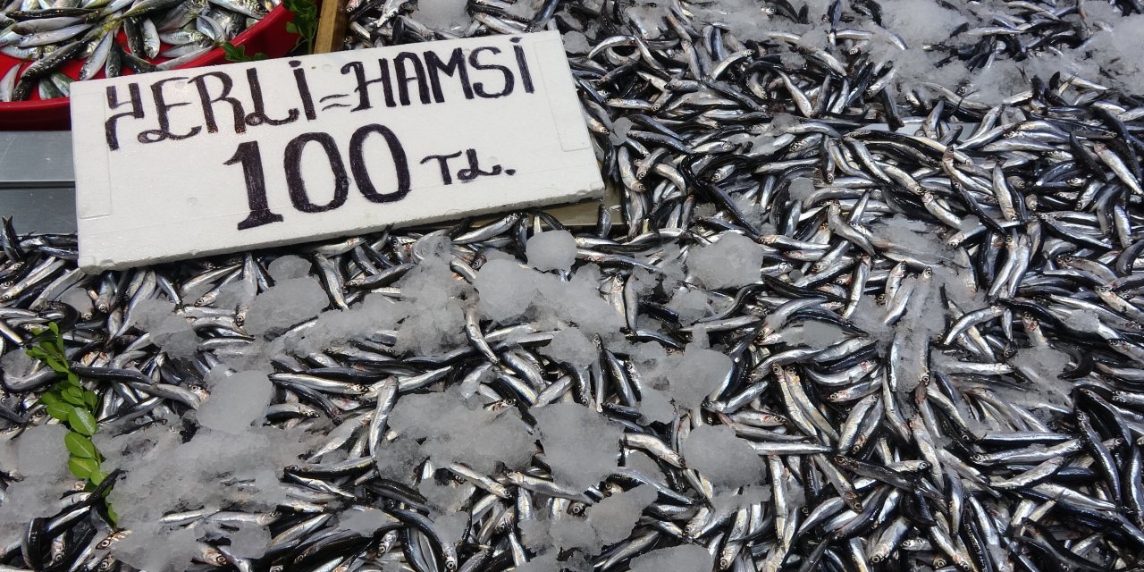Karadeniz'de hamsi bereketi sürüyor