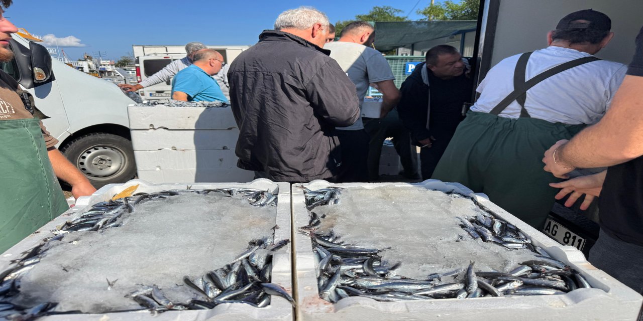 Hava şartları normale döndü, denize açılan balıkçılar bol miktarda hamsiyle geldi