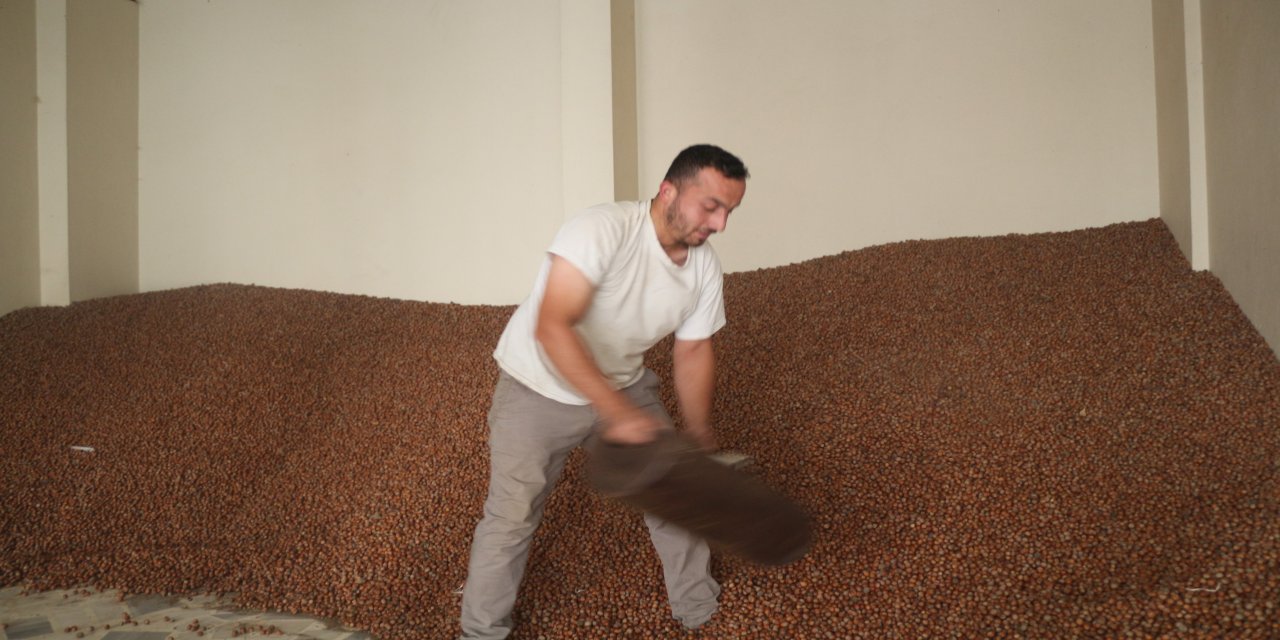 Tüccarlar fındık fiyatı konusunda farklı görüşte