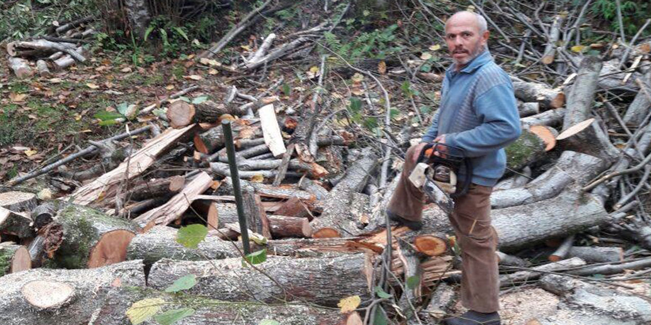 Rize'de kestiği ağacın altında kalan kişi hayatını kaybetti