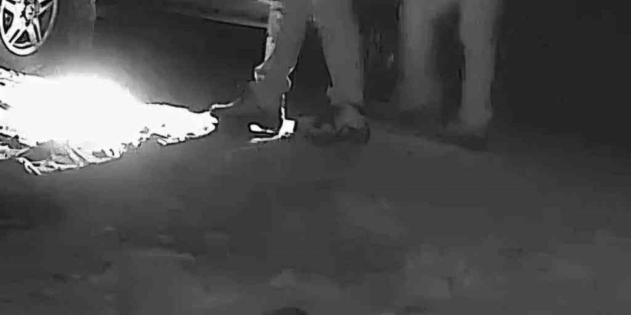 Boz Ayı Avlayan İki Avcı Fotokapana Yakalandı