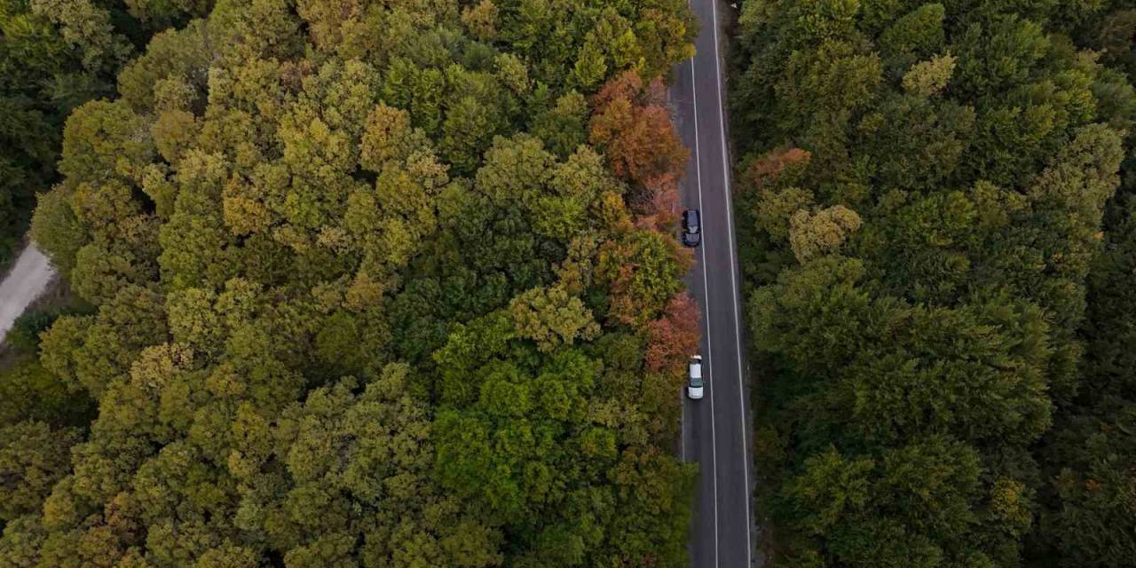 Bolu-seben Yolunda Muhteşem Sonbahar Güzelliği