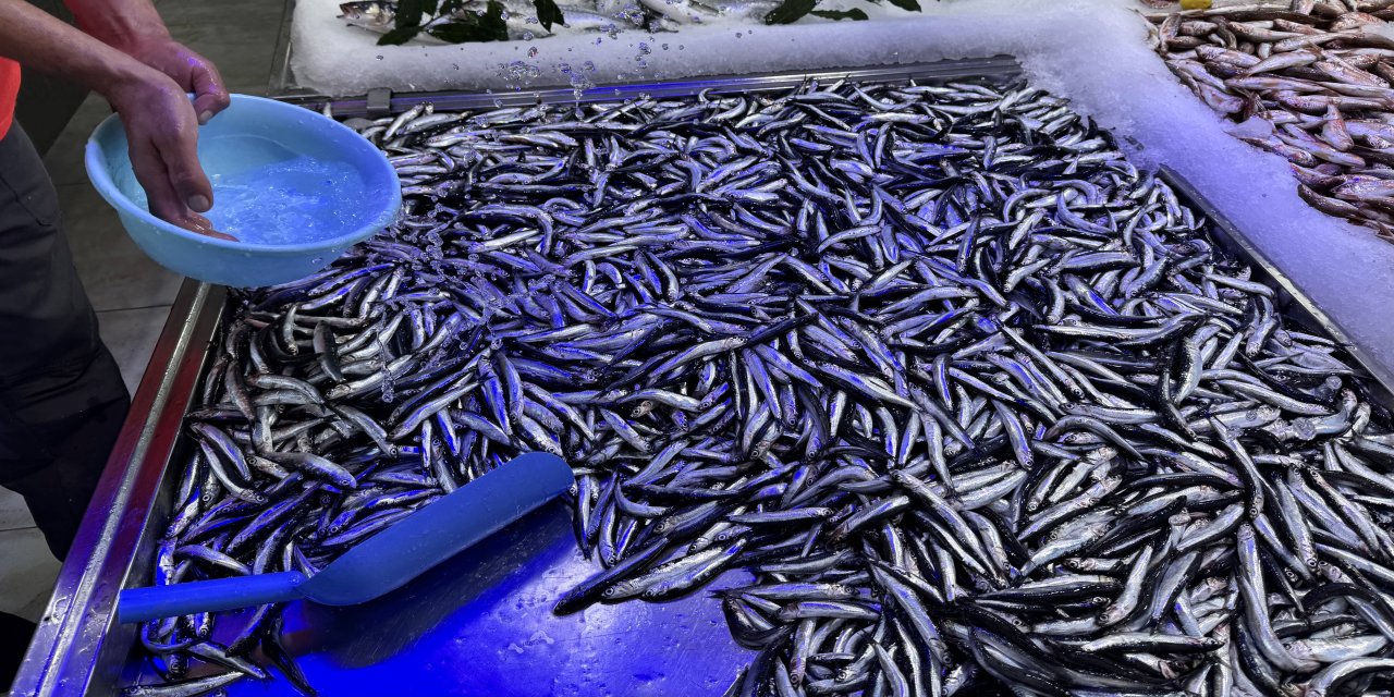 Hamsinin geleceği için 6 ülkeye ortak karar çağrısı