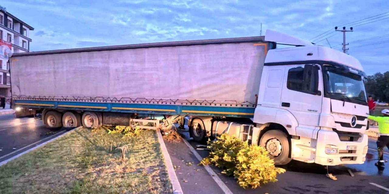 Kediyi Kurtardı Ama Kazadan Kaçamadı