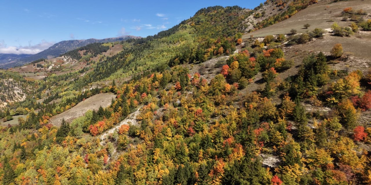 Sonbahar Karadeniz'de ilk bu köye uğruyor