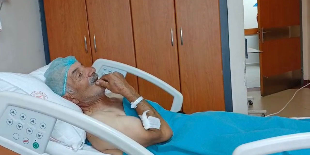 Artvin'de yaban domuzunun saldırdığı çiftçi yaralandı