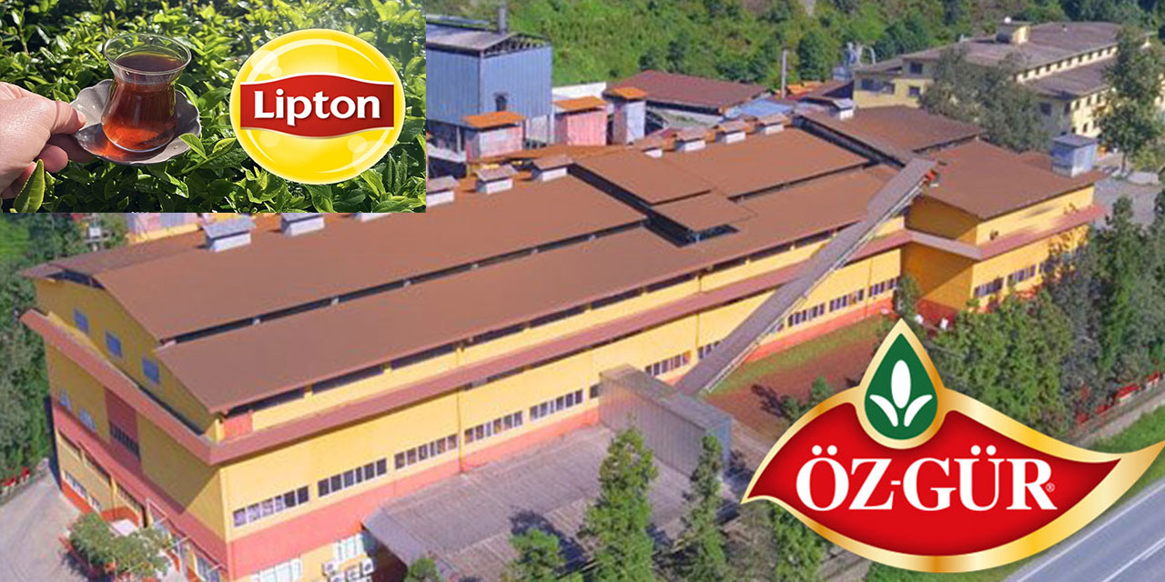 Lipton Türkiye'deki yaş çay fabrikalarını Özgür Çay'a devrediyor
