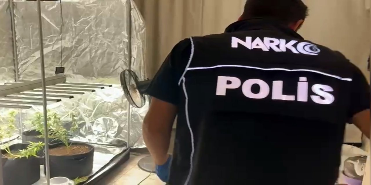 Yatak odasına kurduğu serada kenevir yetiştiren şüpheli: Evi tanımadığım biri kullanıyor