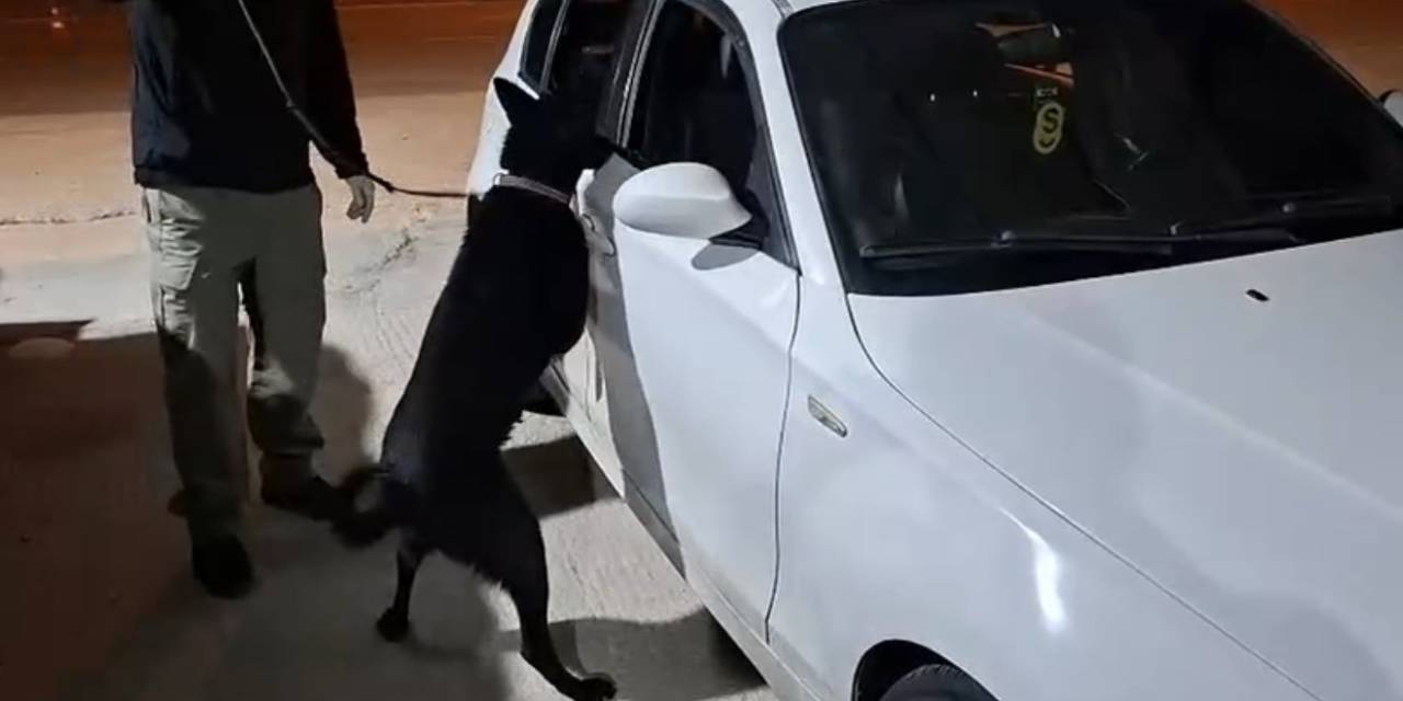 Samsun’da Narkotik Köpeği Çakır, Yakıt Deposuna Gizlenen Metamfetamini Buldu