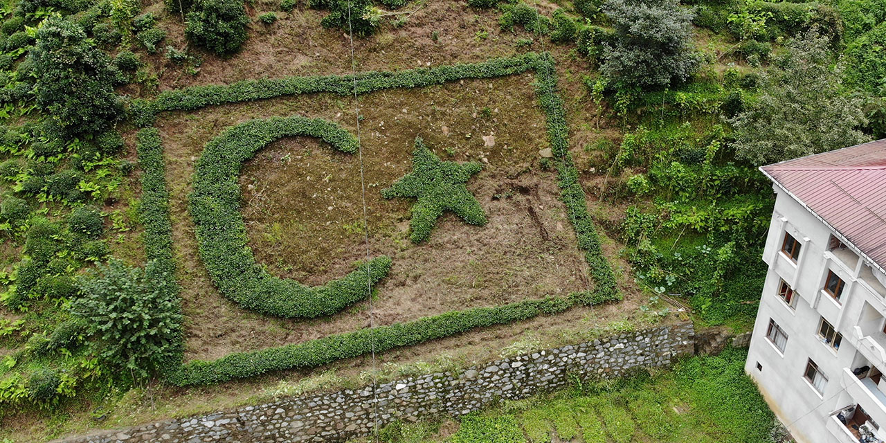 Türk bayrağını çay bitkisiyle ince ince bahçesine işledi