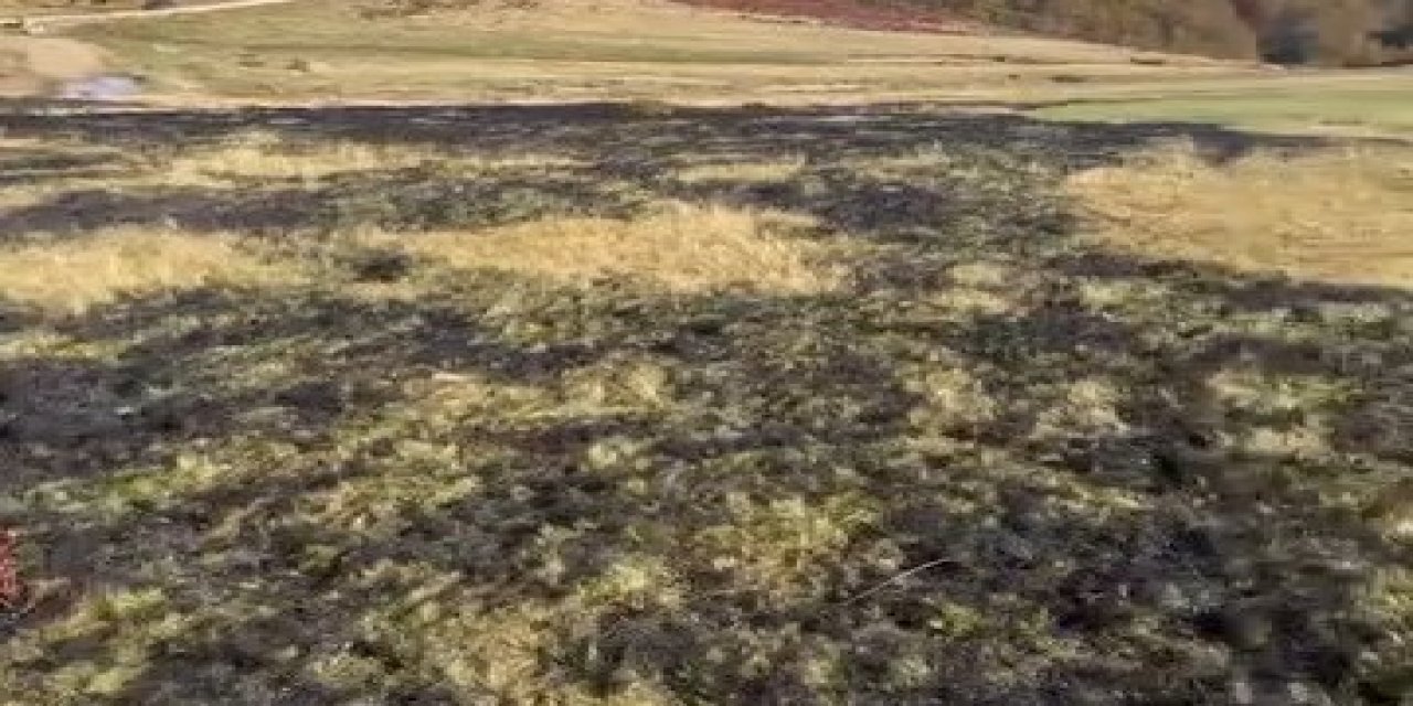 Rize'de yaylada çıkan örtü yangınını bölgede gezintiye çıkanlar söndürdü