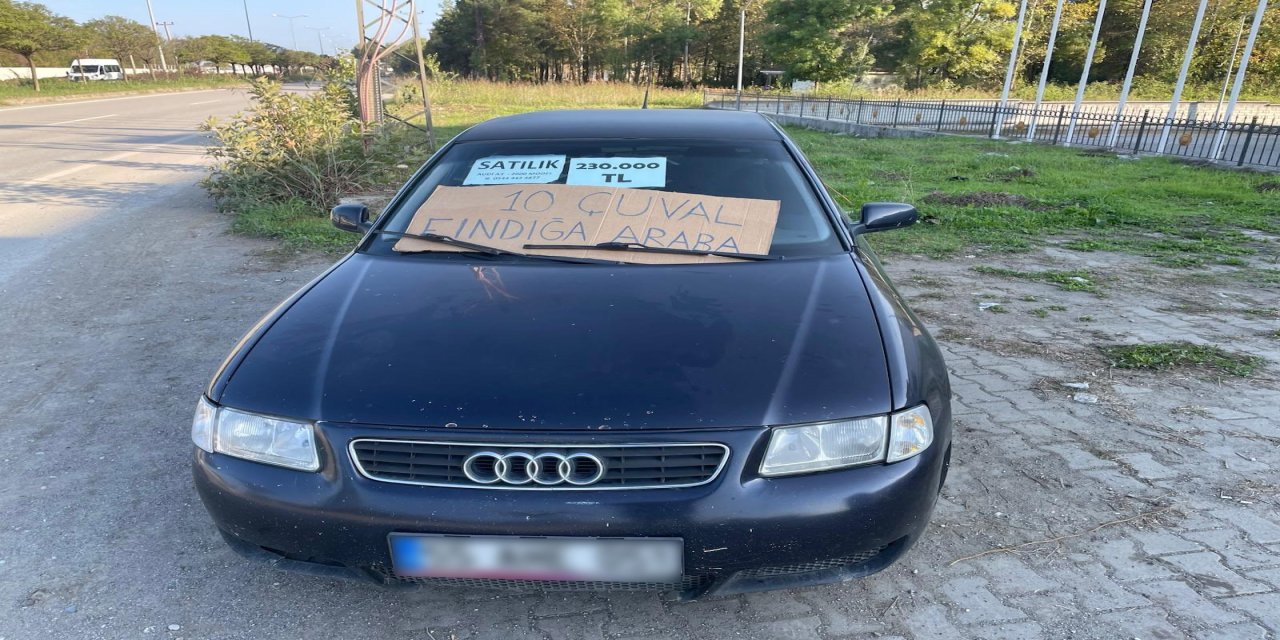 10 çuval fındık getirene araba