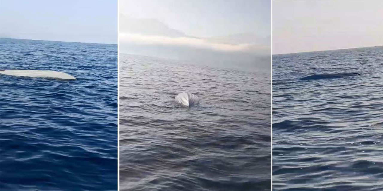 Karadeniz kıyılarında bir insansız deniz aracı şüphesi daha