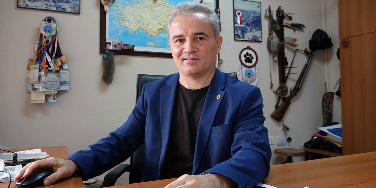 Profesörden popülasyonu 5 kat artan ayılar için ‘kontrollü avlanma’ önerisi