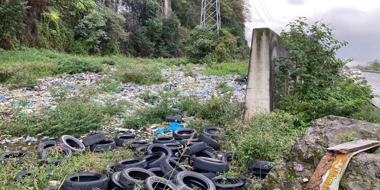 Artvin'de Karadeniz Sahil Yolu kenarındaki çöp dağları tepki çekiyor