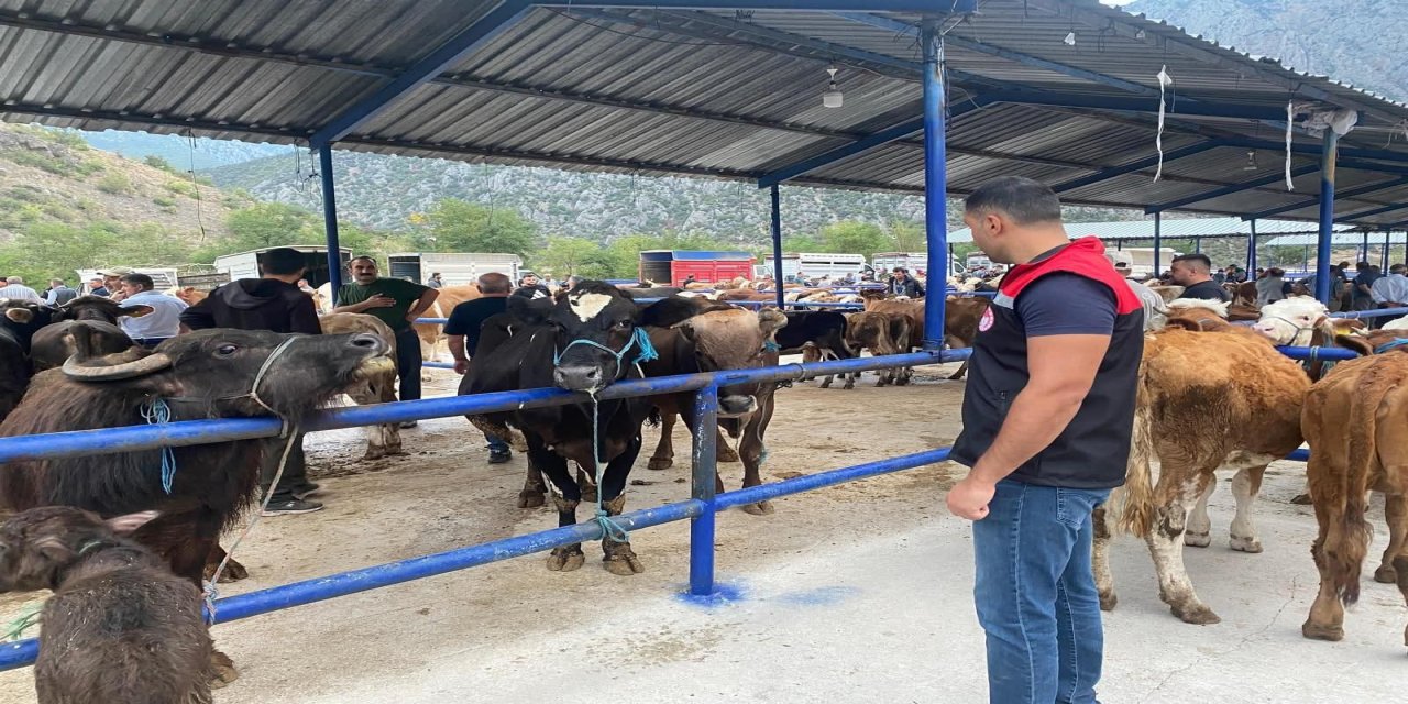 Hayvan pazarı şap hastalığı nedeniyle kapatıldı