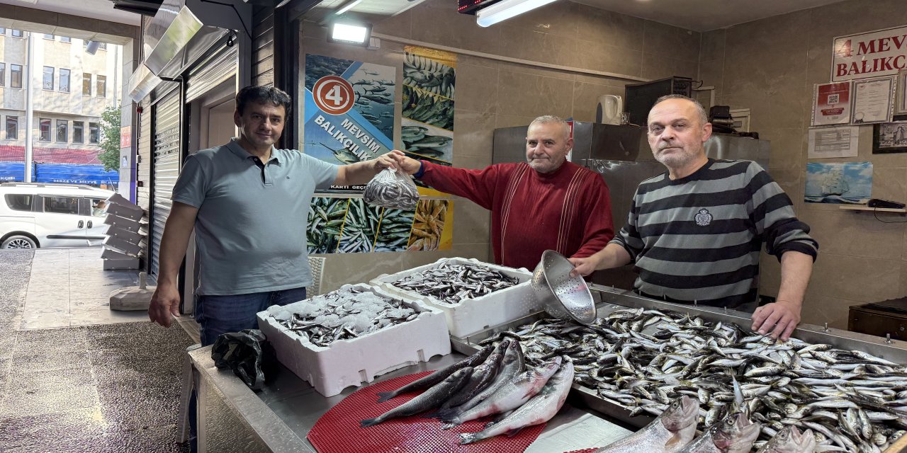 Trabzon'da balıkçı tezgahlarında istavrit ilgi görüyor