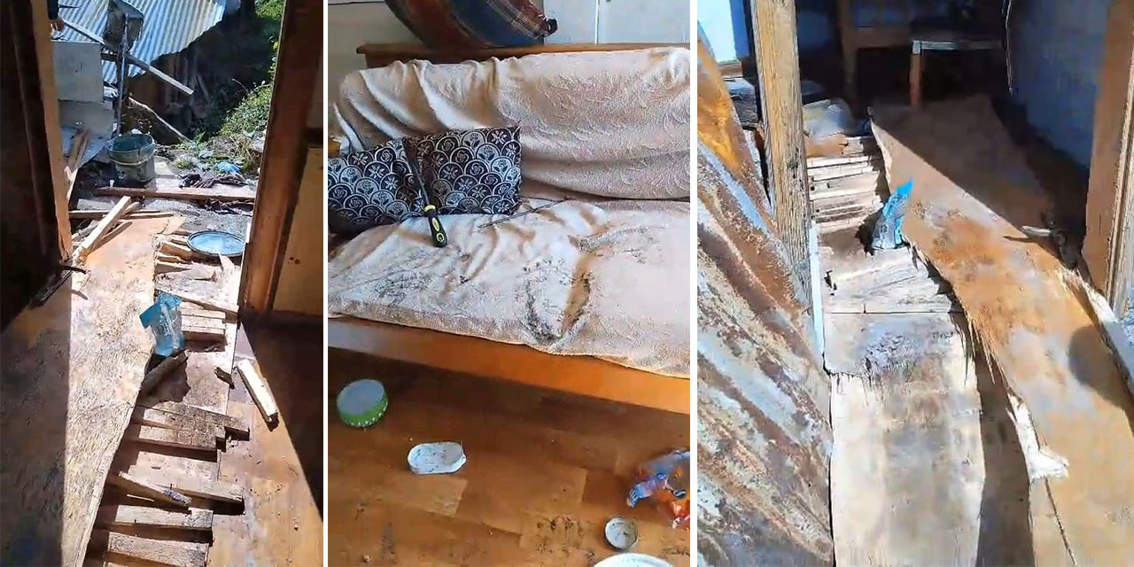 Rize'de yiyecek arayan ayılar, 8 köy evine zarar verdi