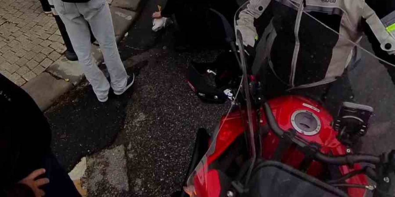 Ataşehir’de Direğe Çarpan Martı Kalp Masajıyla Hayata Döndü