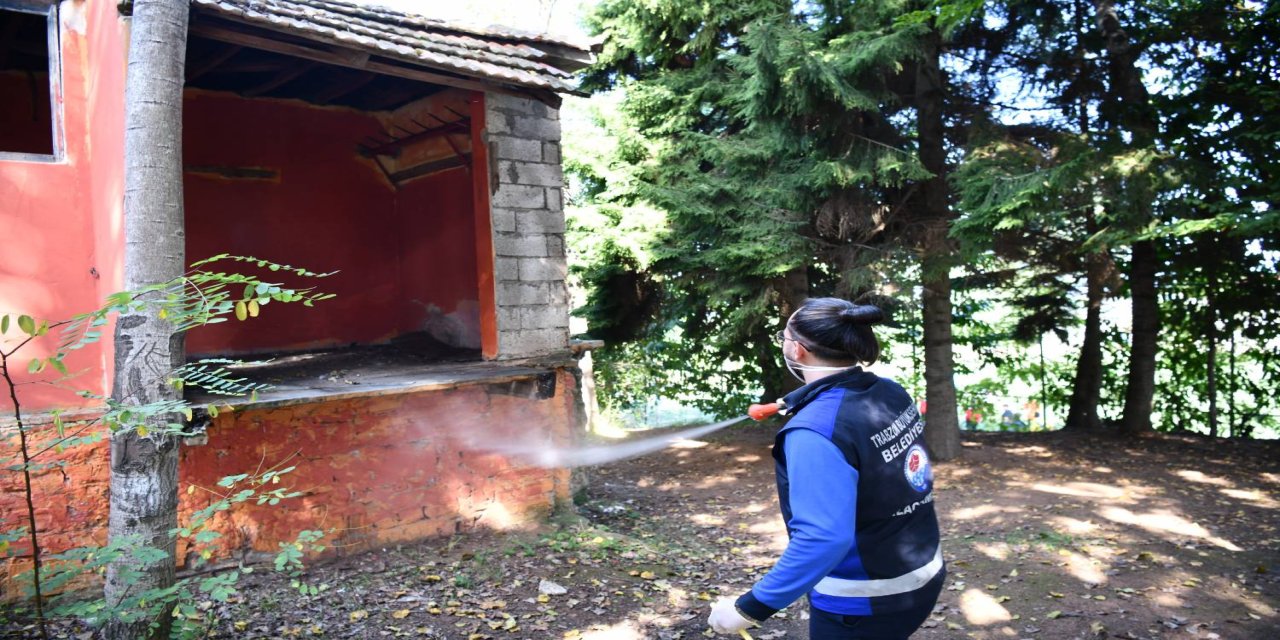 Trabzon’da Tarım Zararlısına Karşı Yoğun İlaçlama