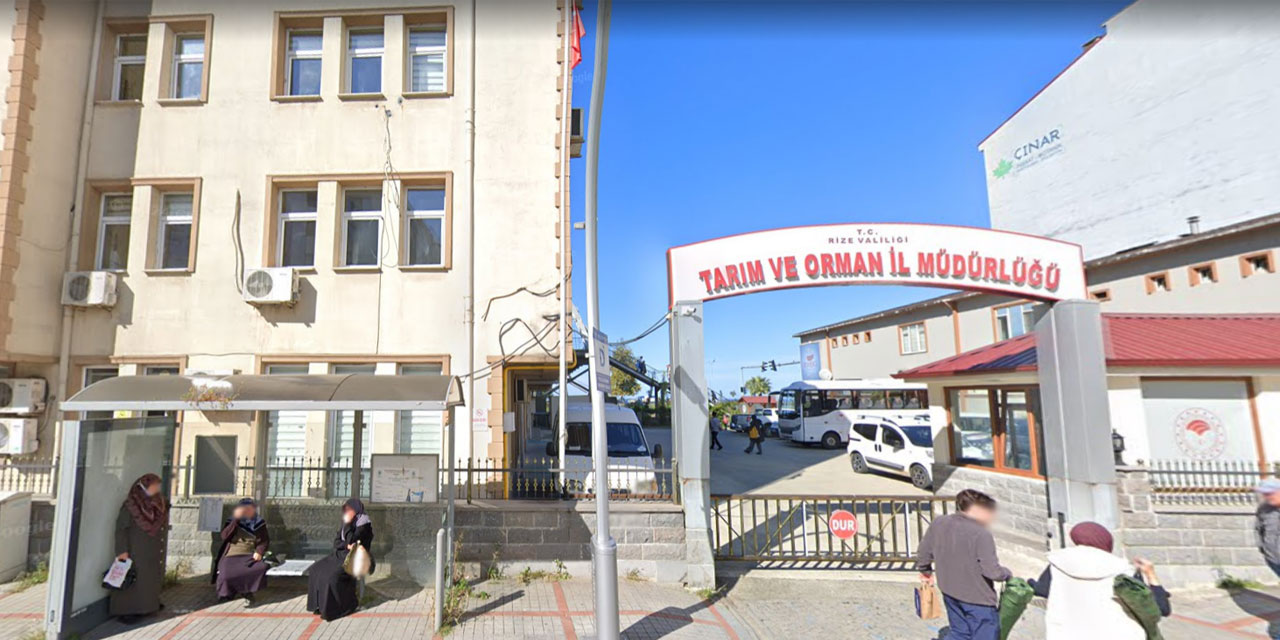 Tarım ve Orman Bakanlığı'ndan Rize'ye 5 Kadro! Toplam 200 Sözleşmeli Personel Alınıyor
