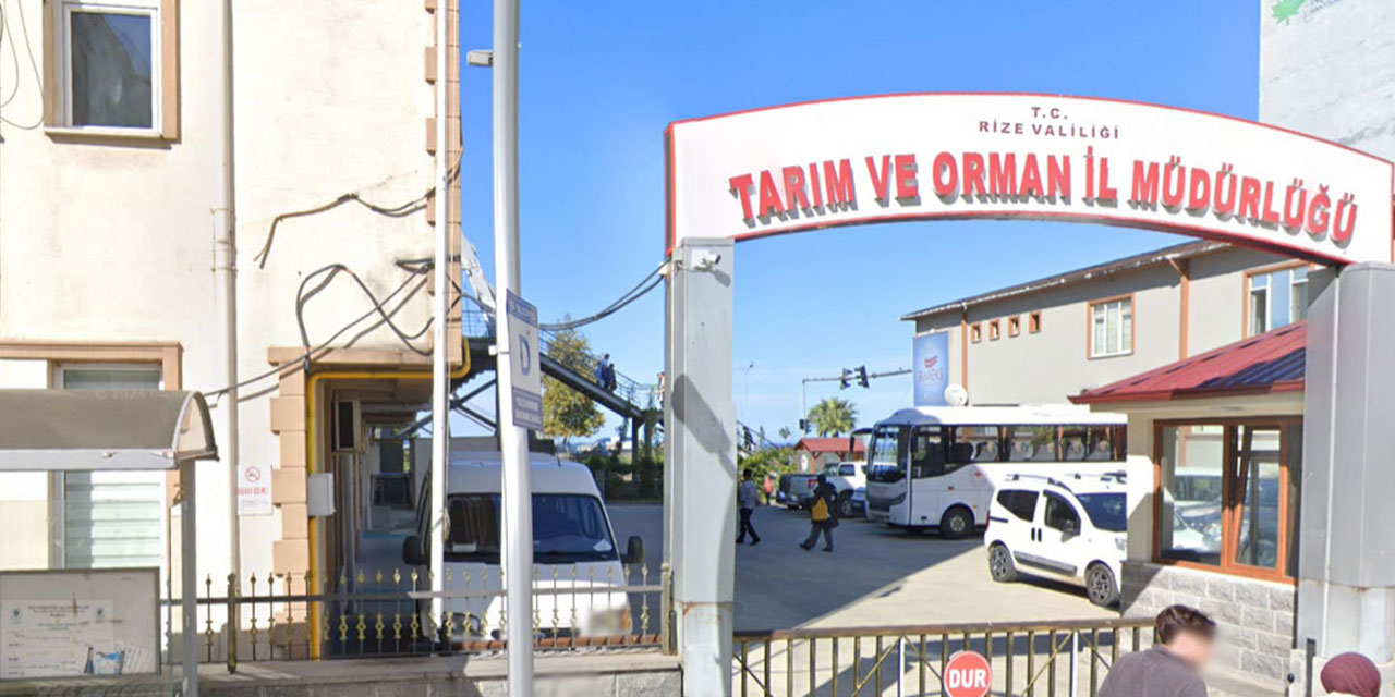 Rize'de 5 Kişi Alınacak. Tarım ve Orman Bakanlığı 200 Sözleşmeli Personel Alımı Başvuruları Başladı