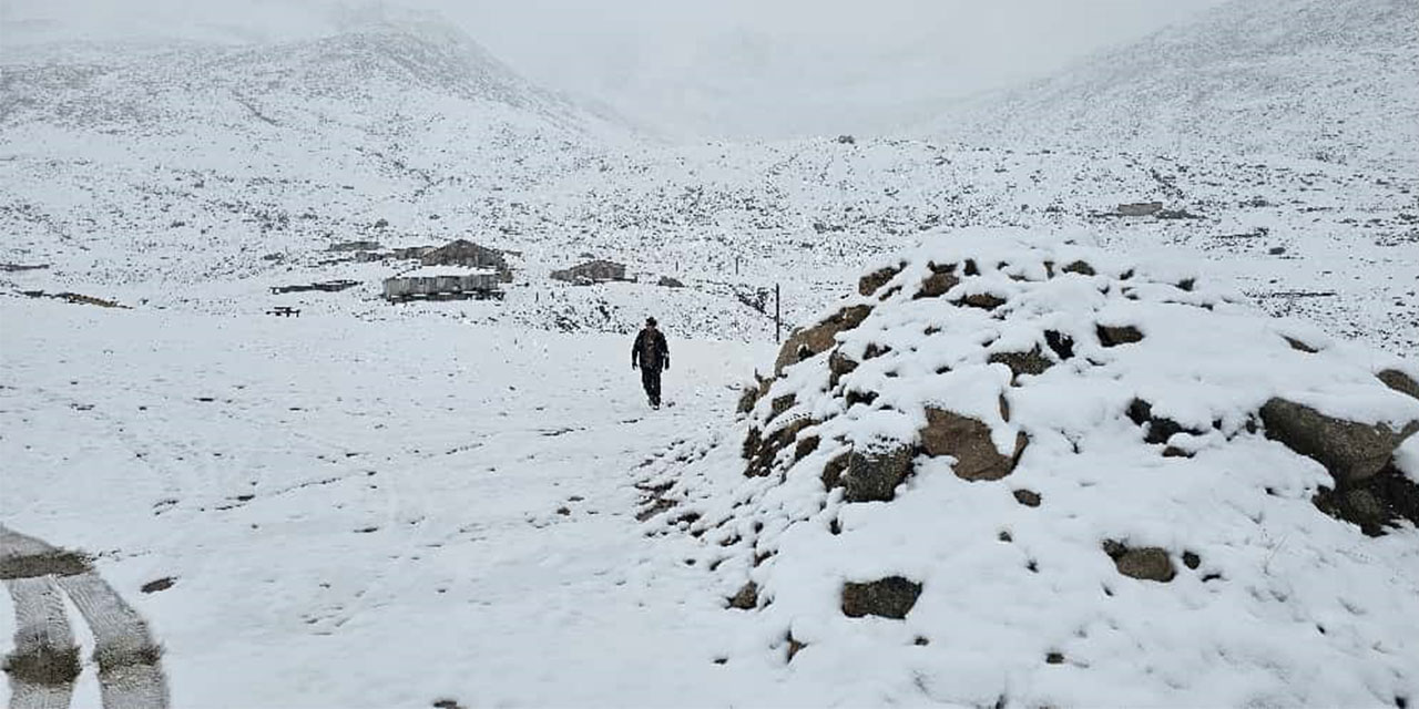 Rize'nin yüksek kesimlerinde kar yağışı etkili oldu