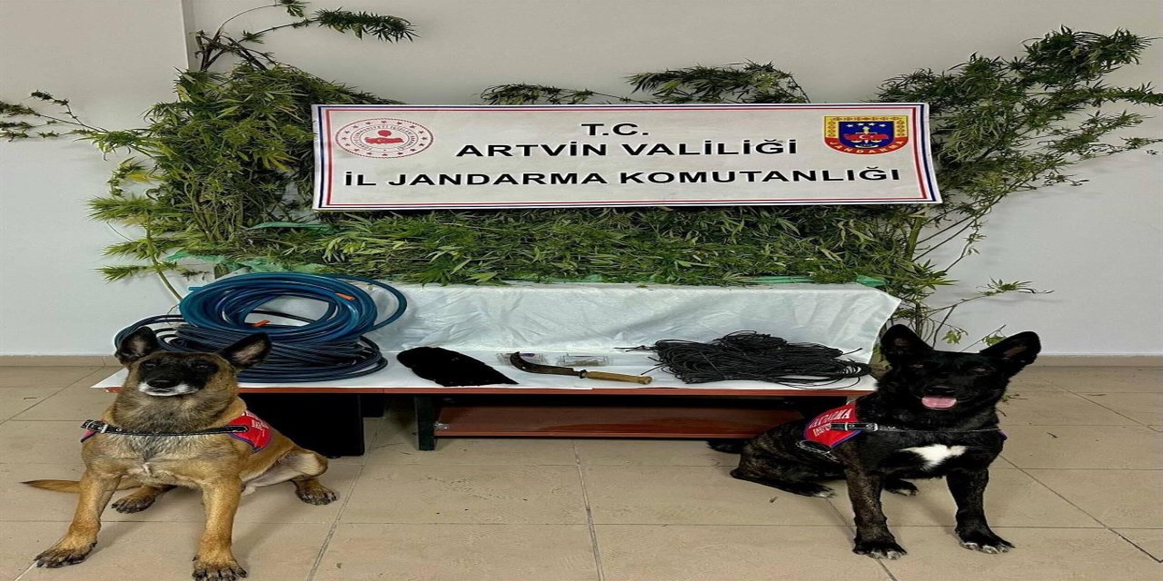 Artvin'de uyuşturucu ticareti yaptığı gerekçesiyle 1 zanlı tutuklandı