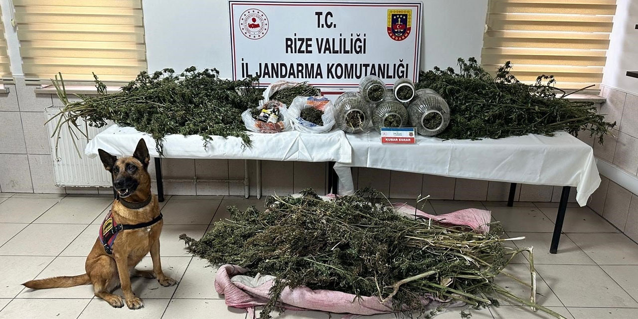 Rize'de Jandarmanın Uyuşturucu Operasyonlarında 3 Kişi Tutuklandı