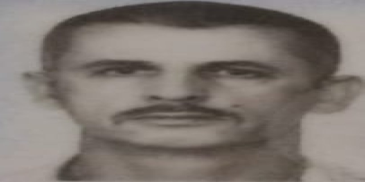 Ceviz toplamak için çıktığı ağaçtan düşüp öldü