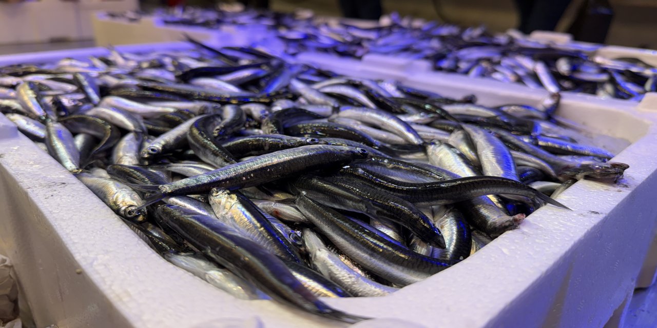 Palamudun yokluğunu Karadeniz'in vazgeçilmezi hamsi tamamlıyor