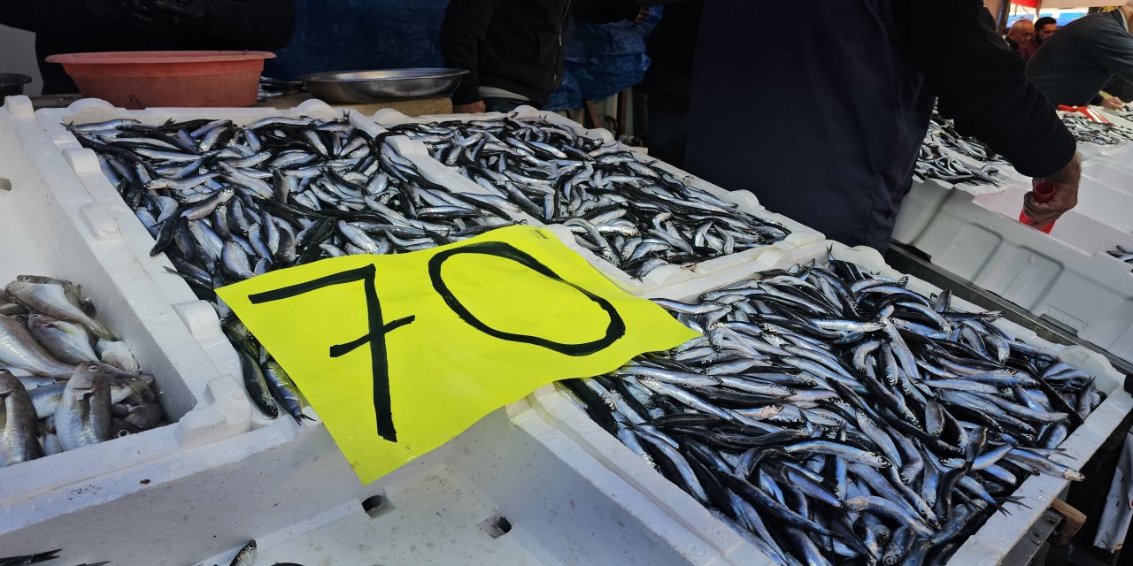 Zonguldak’ta hamsinin kilosu 70 liraya düştü