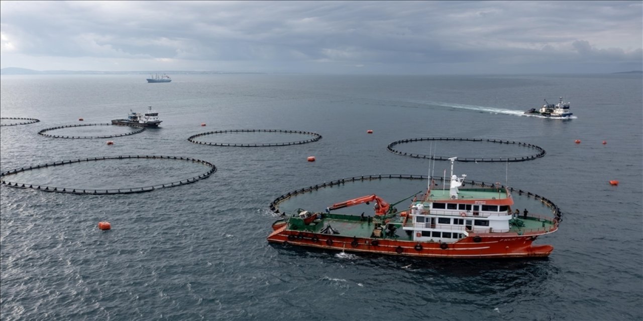 Karadeniz su ürünleri ihracatından 9 ayda 278,7 milyon dolar kazandı